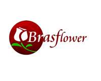 "Brasflower"